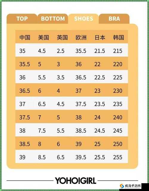 亚洲尺码 XL 是欧洲尺码：探究两者之间的转换规律及差异