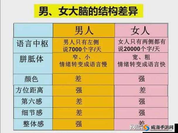 B 大与小的区别在哪里：深入探究其本质差异及影响因素