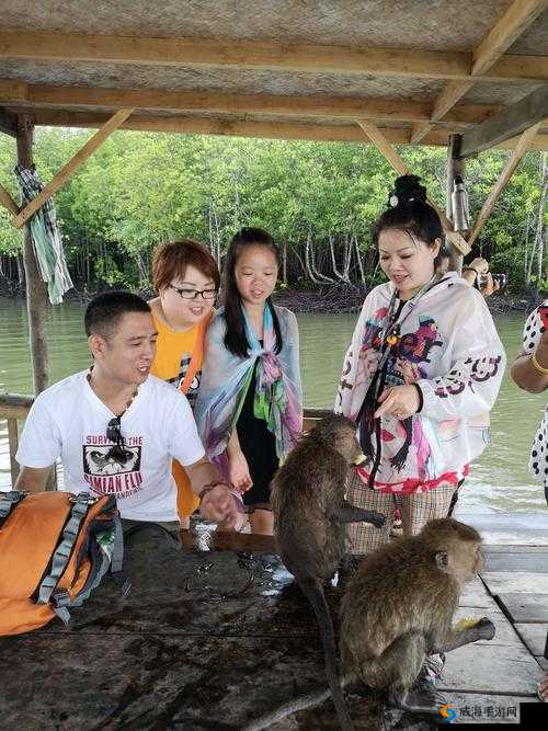 淑荣二次上船开到湖中间去有何奇遇：一段未知的水上旅程等待揭晓
