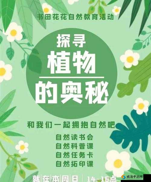 三个人一起玩 3Q 会怎么样:探寻其中的奥秘与可能
