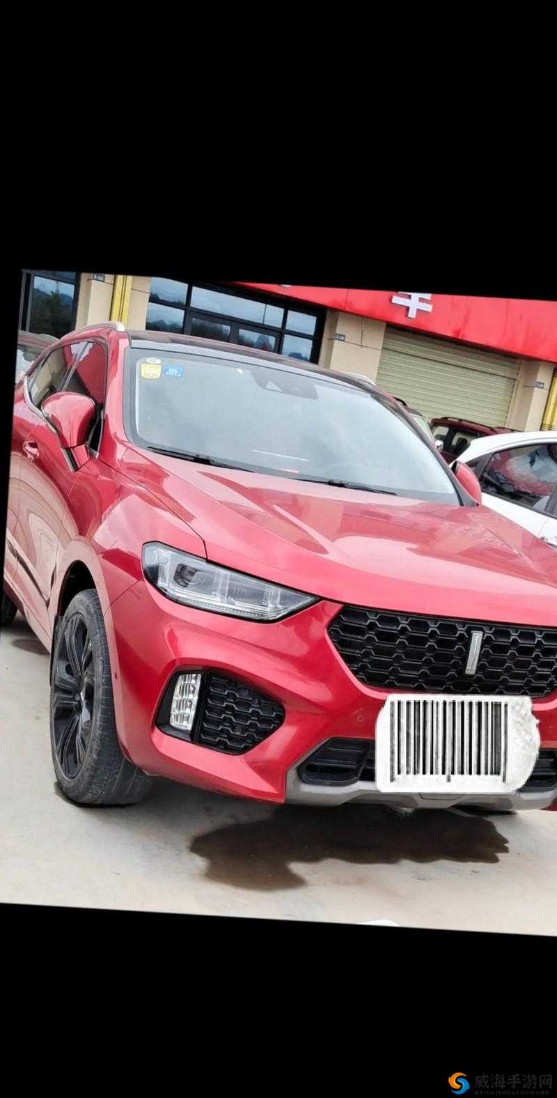 WEY VV5 国产的 SUV 视频：领略豪华与性能的完美融合