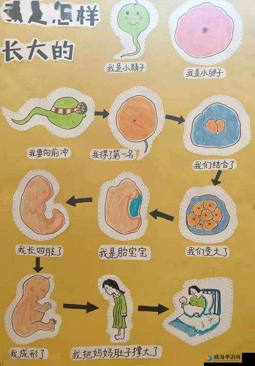 生物老师拿自己当做繁衍例子讲述生命延续的奥秘