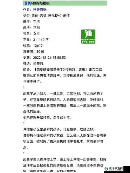 一个软妹三个糙汉：青春时光中的奇妙碰撞与交融