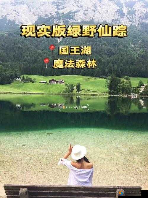 仙踪林主页网站 带你领略奇妙的森林世界之旅