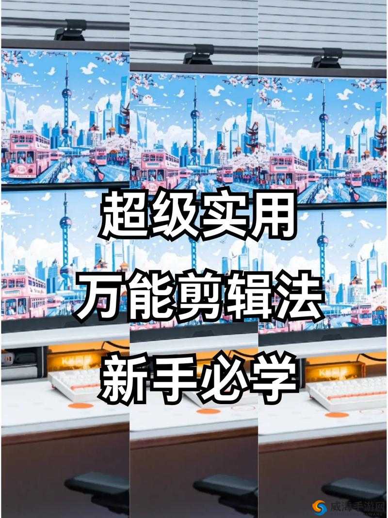 一个人怎么找视频：探索有效方法与实用技巧