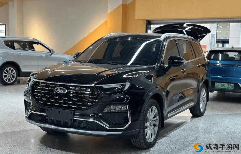497799 欧洲版的国产 SUV 高性价比性能逆袭：震撼登场引领车市新潮流