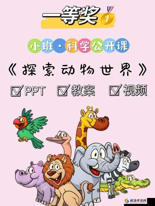 美国ZOOM 动物-欢迎您 一起探索动物世界的奇妙之旅