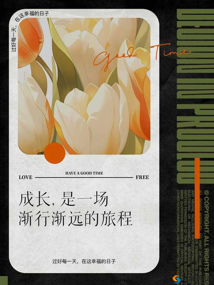 焕儿 1 小时 19 分：一段充满挑战与惊喜的时光之旅