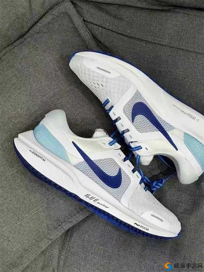 NikeZoomVaporflyElite：畅享极致运动体验的专业跑鞋
