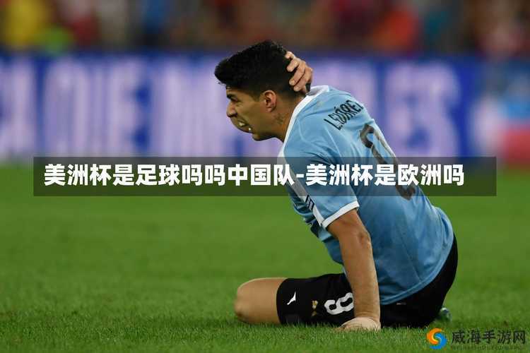 亚洲 VS 欧洲 VS 美洲：体育竞技与文化交流的大碰撞