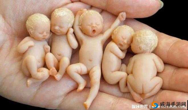 世界上最小 BB 有几个：探寻生命诞生的微小奇迹