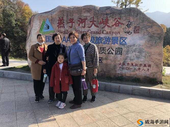 老周张琳在公交车上的互动如何：一段引人瞩目的乘车经历