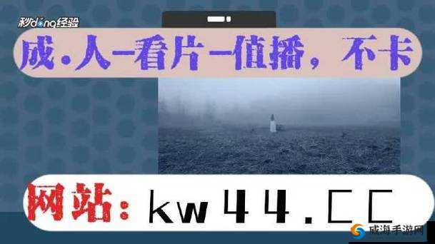 搞机time恶心 10 分钟不要钱：如此行径令人作呕