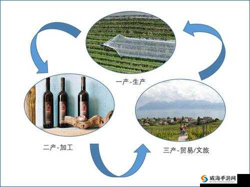 99 精产三产区别详解：深度剖析产业差异与特点