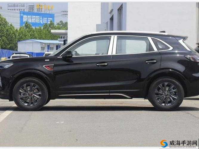 国产 SUV 精品一区二区 6 有什么特点：深度剖析其独特魅力所在