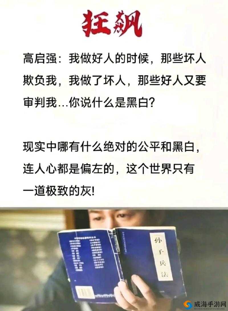 黄站69：挑战道德与法律的灰色地带