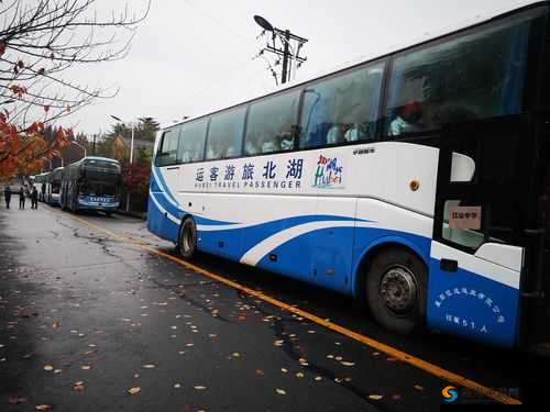 野外做受又硬又粗又大视频公交车:探索别样刺激之旅