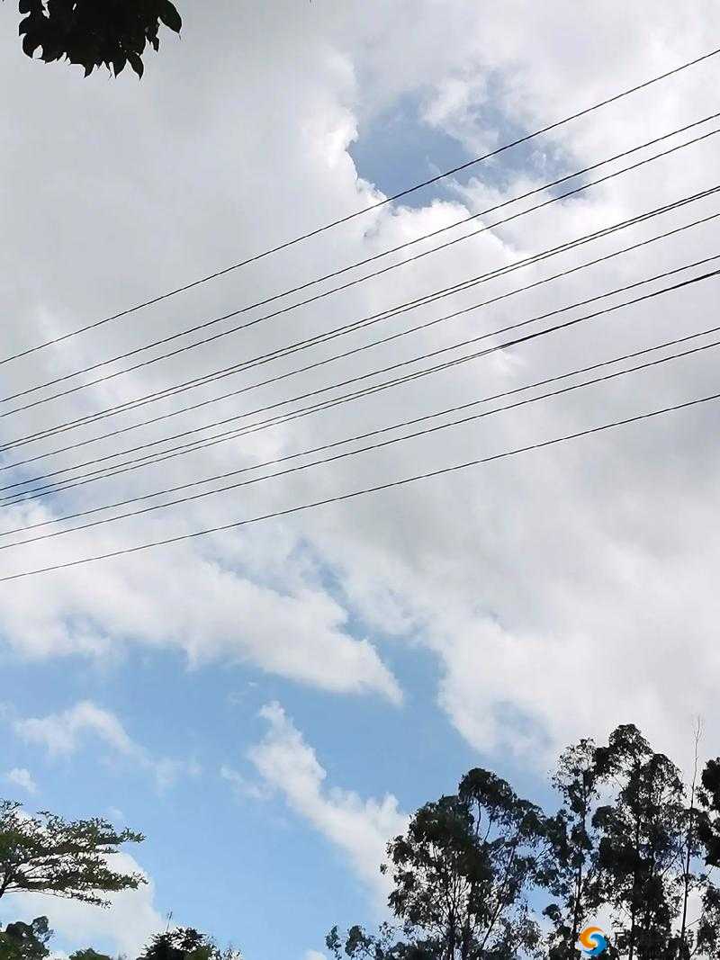 璜铯网站蝌科窝：探索未知的成年人世界