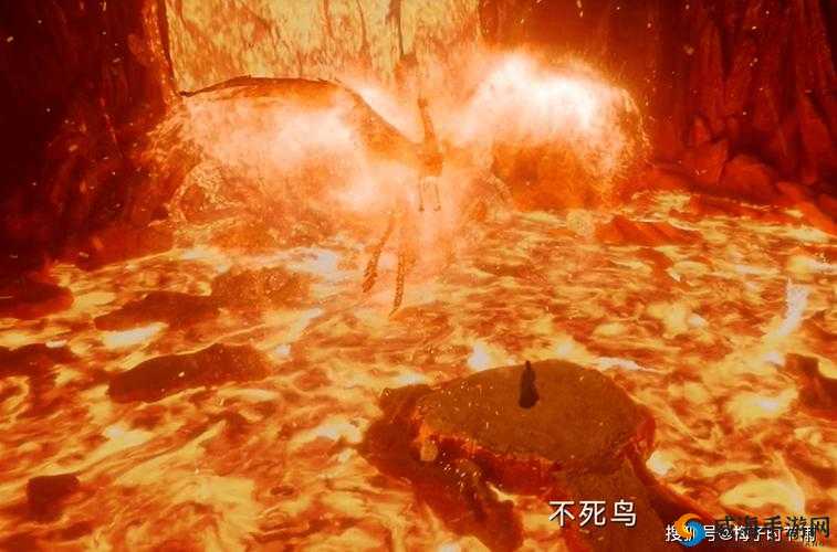 刀塔传奇预言池boss掉落，不死烈焰深度剖析