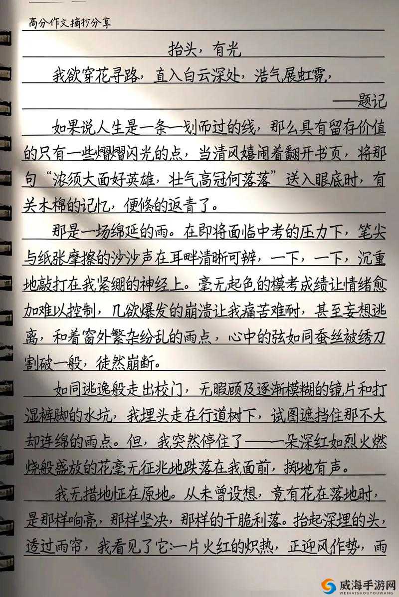 一篇关于情感与欲望的私密故事：低头咬开她的小衣衣带作文