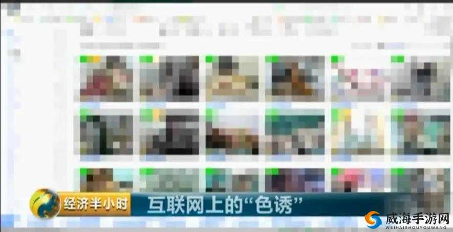 关于 Wwwcq 色网的独特探索与发现
