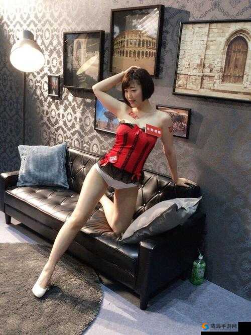 ：XX 国男星与黑人女优私密视频流出