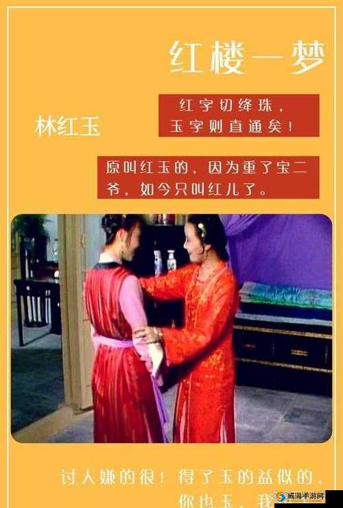 日荡妇怡红院：明末清初的青楼传奇