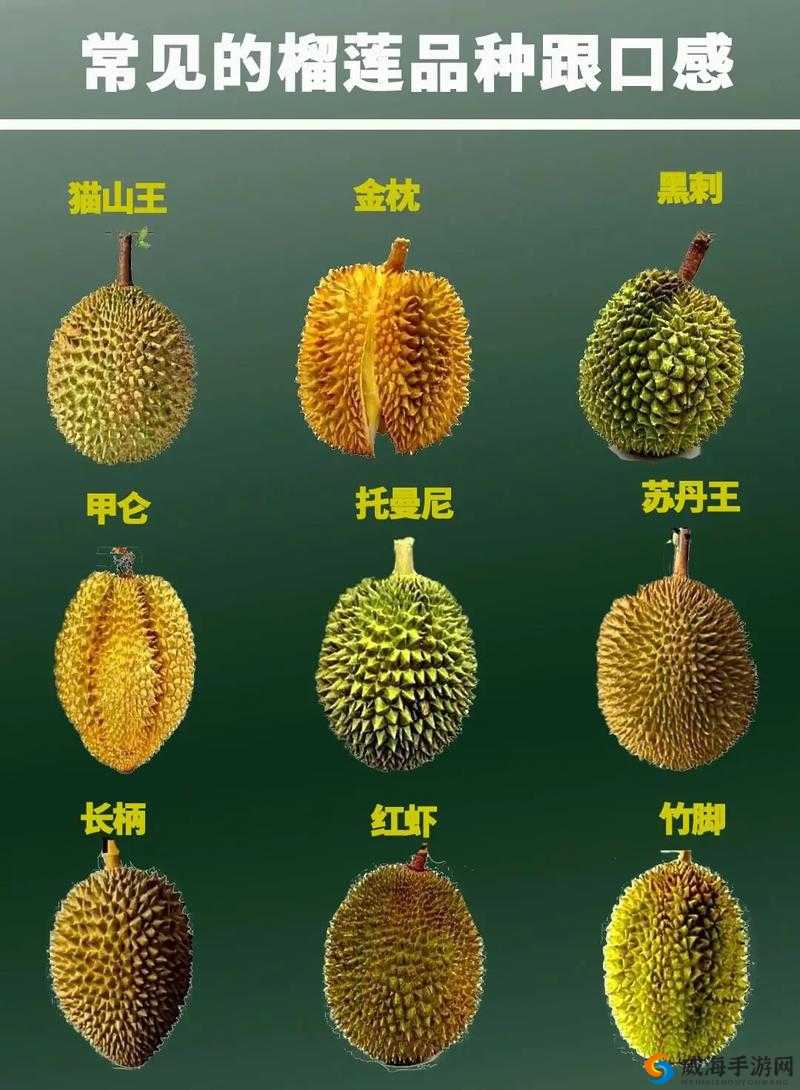 草莓香蕉榴莲 9W97W 乳液：多种水果与乳液的奇妙组合