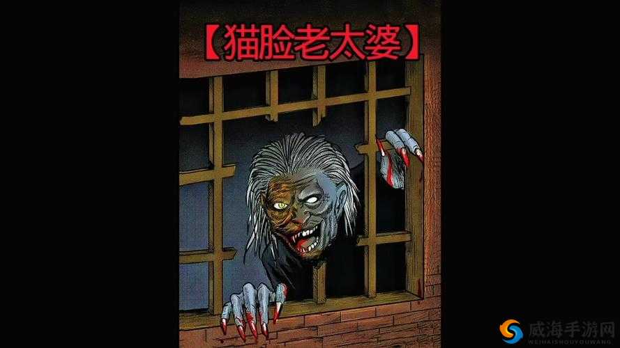 老太婆大 BBBBBBBBBB 引发的一系列奇妙故事