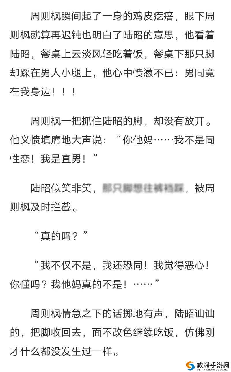 小男生 Gay 男男站 A 片小说：禁忌之爱与欲望的交织