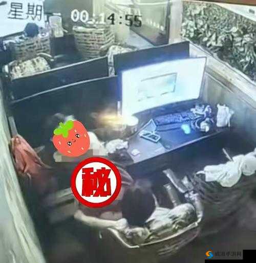 全程不盖被子打扑克视频大全：精彩刺激场面全记录