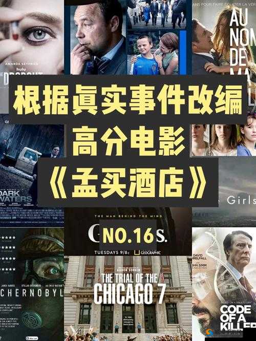 成年人精品电影 911 在线观看：畅享极致视觉盛宴