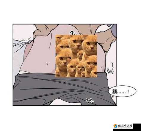 小受肛门塞着东西睡觉会怎样：探究这种行为的风险与影响