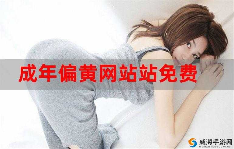 成年人内容网站:、低俗信息需警惕