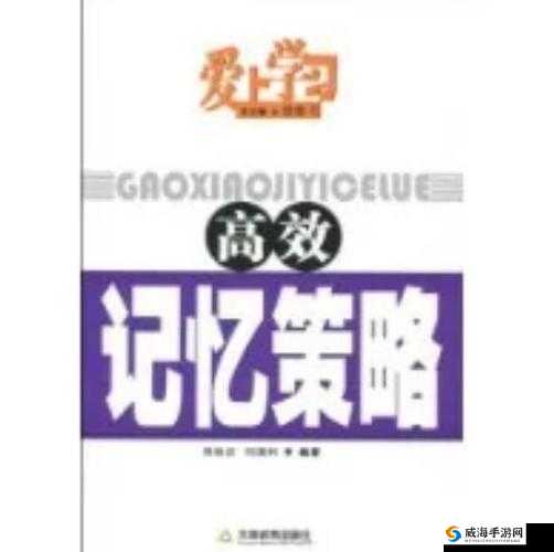欢乐西游公告,网络波动补偿在资源管理中的重要性及高效利用策略