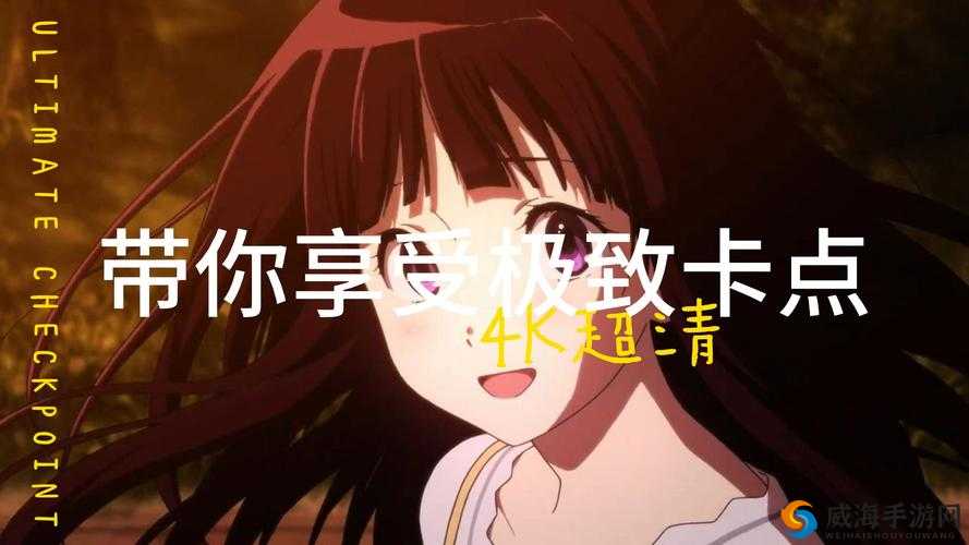 国产一卡三卡四卡无卡精品，你从未体验过的极致享受