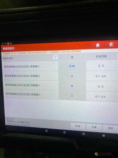 palipali 线路检测一整晚:持续进行深入全面的检测分析