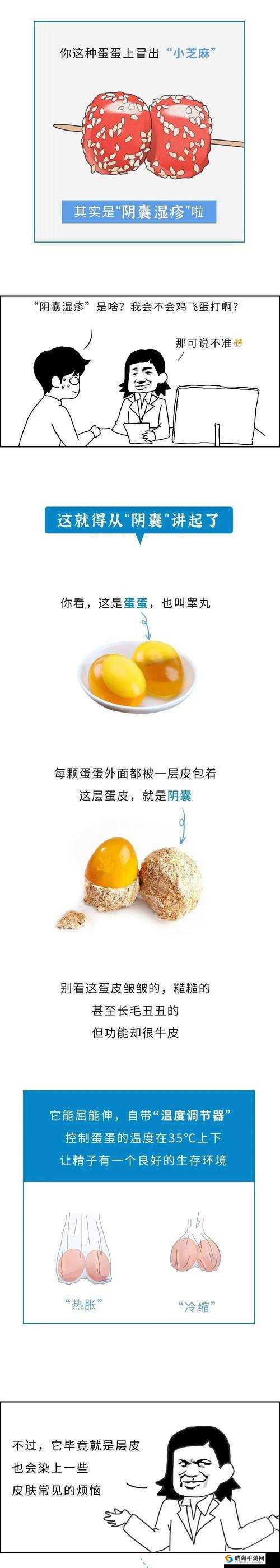 二个蛋蛋摸起来里面都有疙瘩:这种情况应如何应对