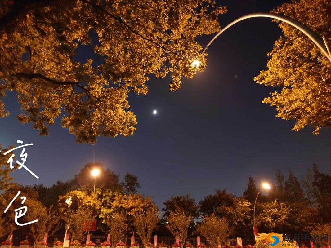 一夜夜天天拍：记录生活中的美好瞬间