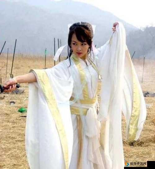 陆雪琪野狗道人最经典十首歌曲全收录及精彩解读