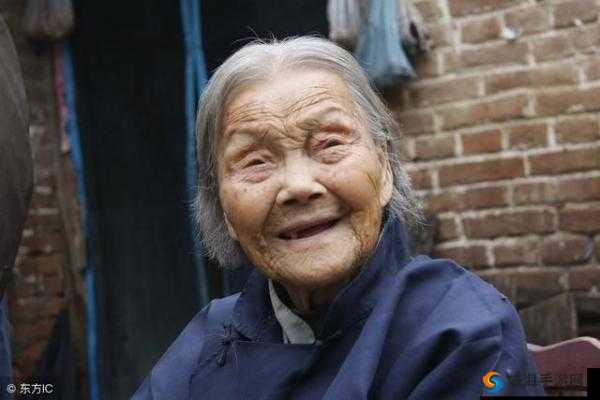 老太太 OOZZZzz 的奇妙人生之旅:充满惊喜与未知
