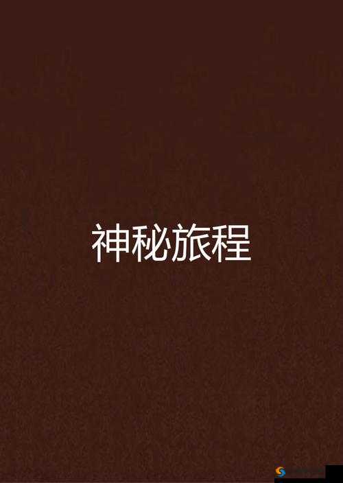 九月丁香八月婷婷加勒比：一段神秘的旅程