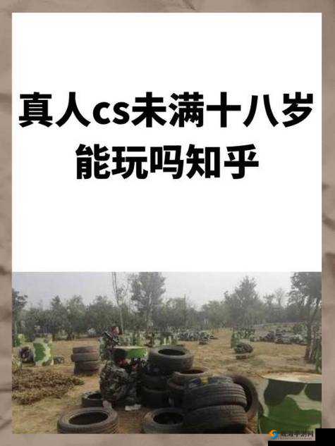 真人 cs 未满十八岁能玩吗:关于此问题的详细探讨与分析
