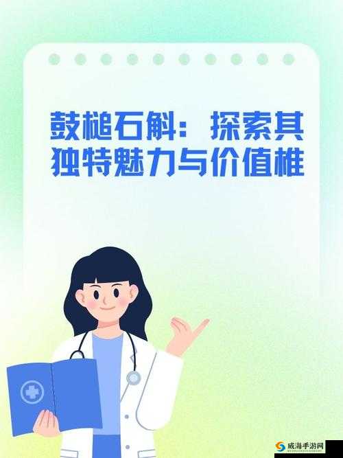 叼嗨软件相关内容：探索其独特魅力与价值