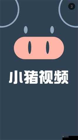 宝福丝瓜草莓芭乐小猪鸭脖：带你开启奇妙的美食之旅