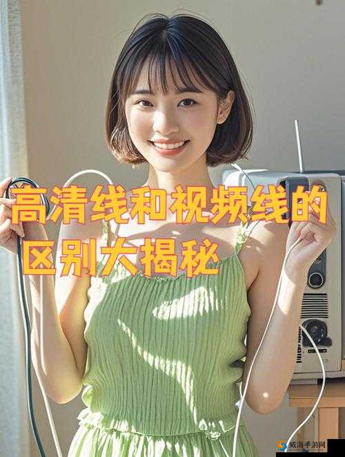 高清线与视频线区别大揭秘：二者特性差异