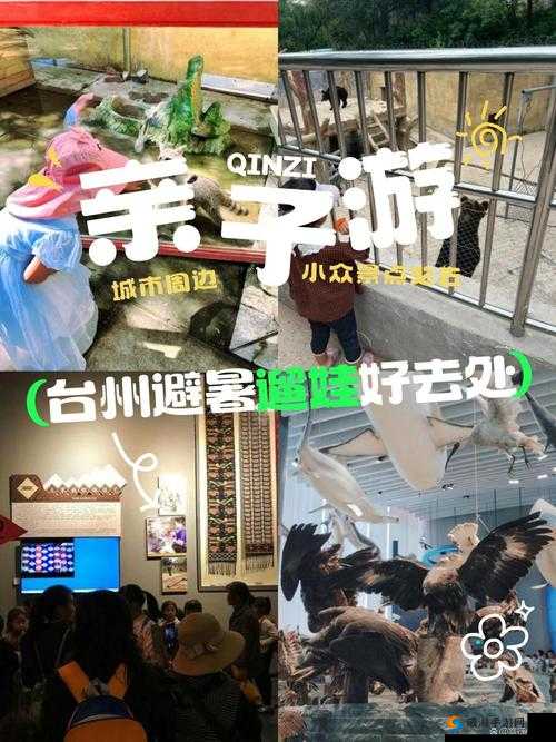 免费体验区 试看 120 秒精彩等你来享