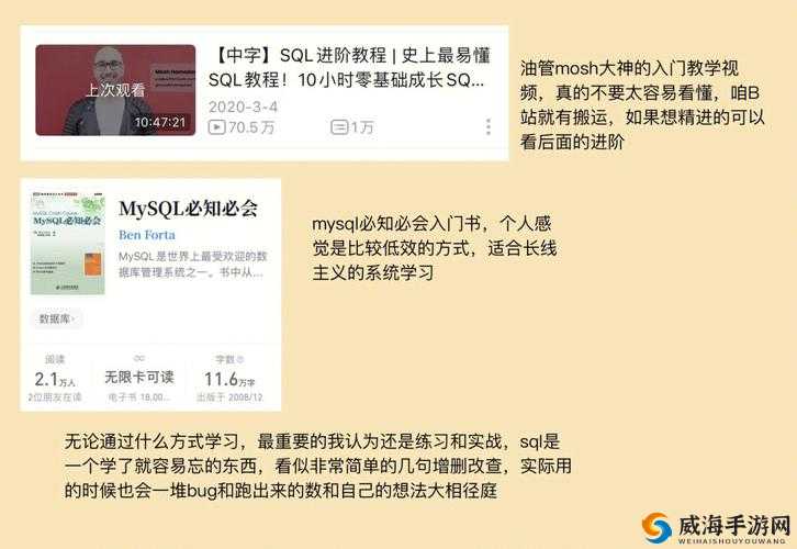 主公莫慌深度攻略,V9玩家的策略心得大揭秘(上)