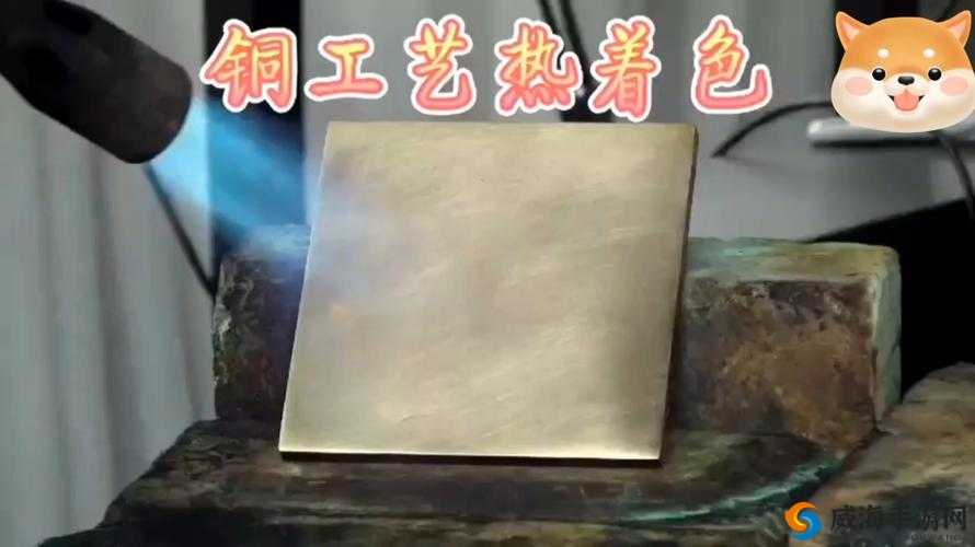 铜铜铜好大好深色板券：探索其独特魅力与无限可能