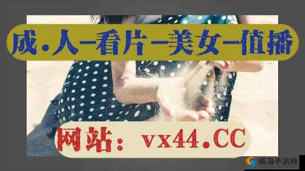 国无人区码卡二卡在线入口：探索未知的神秘领域